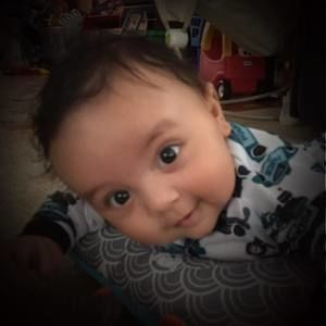 Meet your Posher, Calli